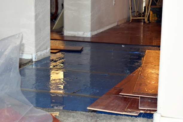 Professional Water Extraction technician working in La Ward, TX